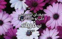 رومانسي قصير