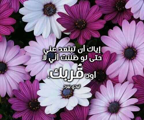 رومانسي قصير