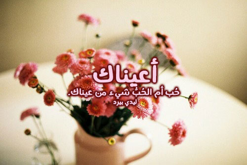 حب جامدة