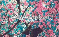 حب جديدة