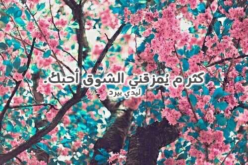 حب جديدة