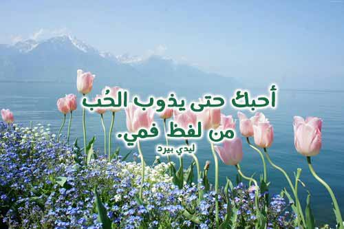 حب جميلة