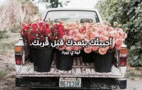 حب رائعة