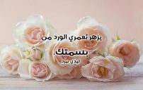 حب صادقة
