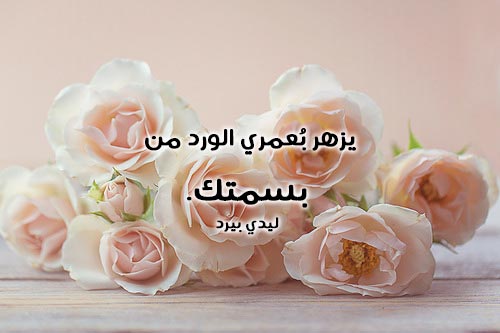 حب صادقة