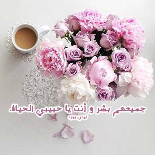 حب قصيرة للحبيب