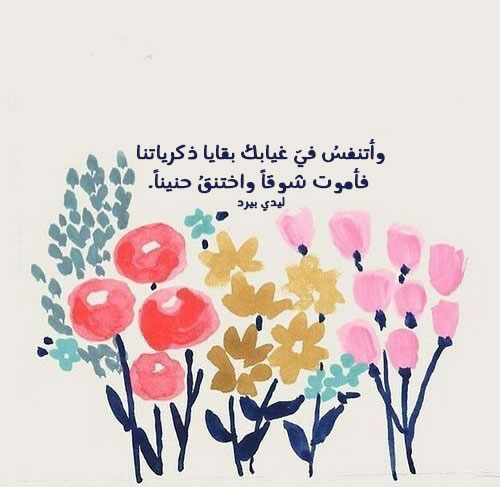 حب معبرة