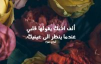 حب هادئة
