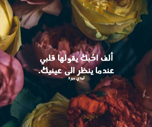 حب هادئة