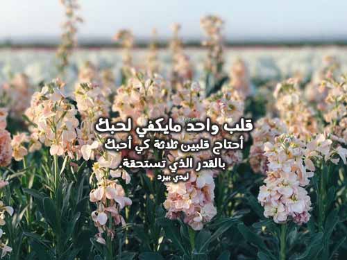 حب وعشق