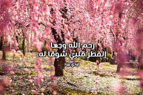 شوق لمن رحل عن الدنيا