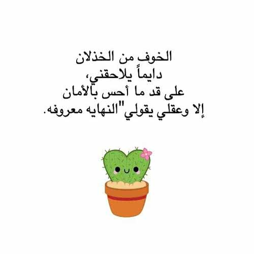 صور الفراق 40