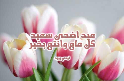 اجمل صور عيد الاضحى 5