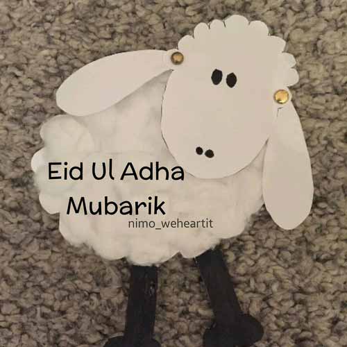 خروف العيد 4