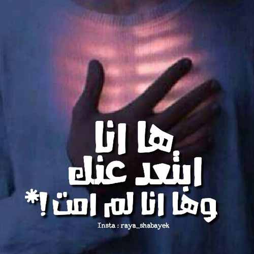 عن البعد 44