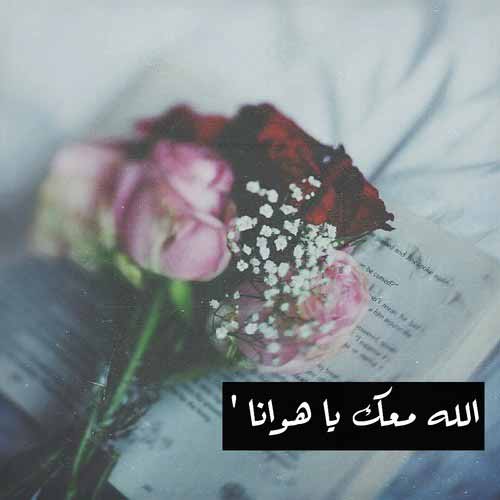 قوية فراق 55
