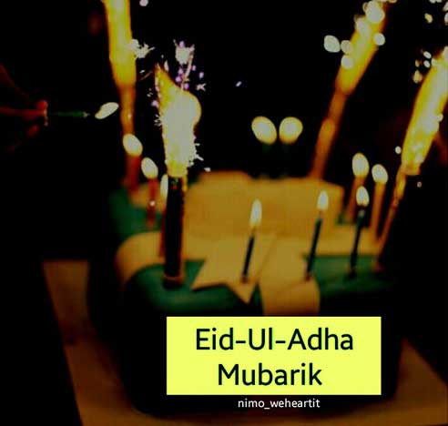 الاضحى 5