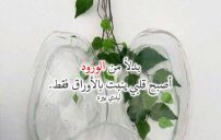 حب قاسي وجارح