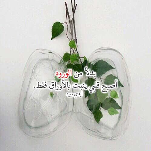 حب قاسي وجارح