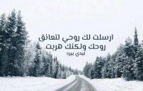 حب يبكي