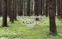 خيانة قصير