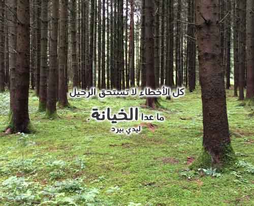 خيانة قصير
