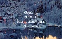 شوق شتويه