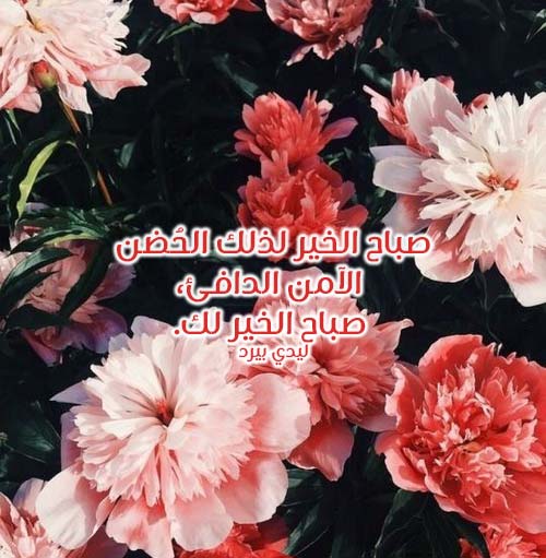 صباح الحضن الدافئ