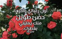الحضن بين الزوجين