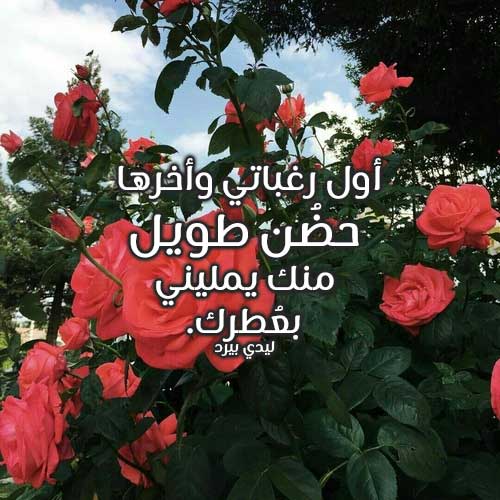 الحضن بين الزوجين