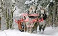 عن الحضن الدافئ