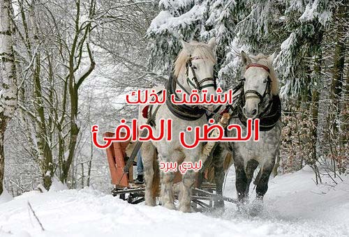 عن الحضن الدافئ
