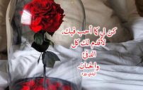 عن الدفئ والحنان
