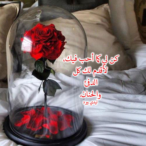 عن الدفئ والحنان