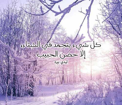 عن الشتاء جريئة ومثيرة