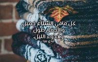 عن جمال الشتاء