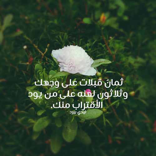عن القبلات