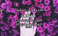 عن القبلات جريئة