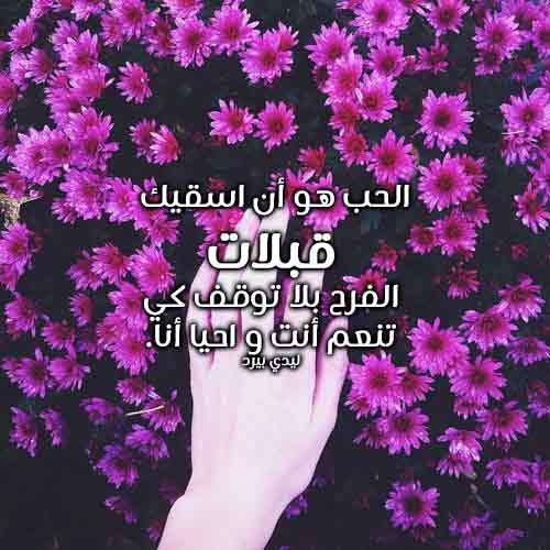 عن القبلات جريئة