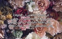عن القبلات