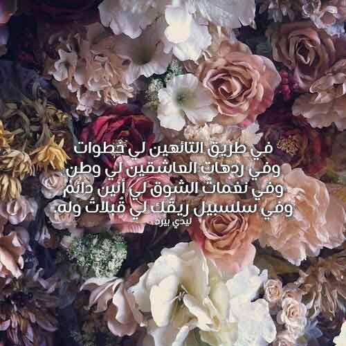 عن القبلات
