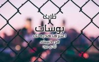 عن البوسة