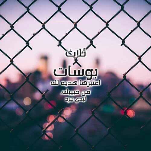 عن البوسة