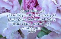 عن القبلات ساخنة