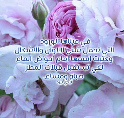 عن القبلات ساخنة