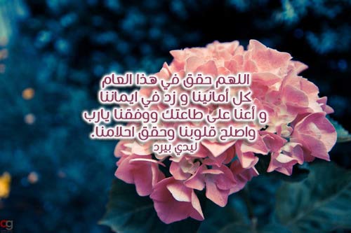 صور دعاء السنة 4