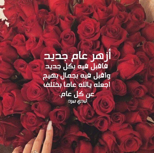 صور للعام الجديد بناتية 4