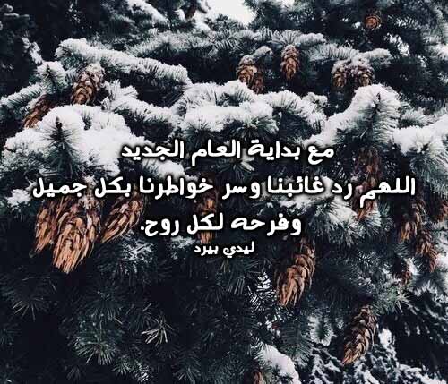 رأس السنة 44