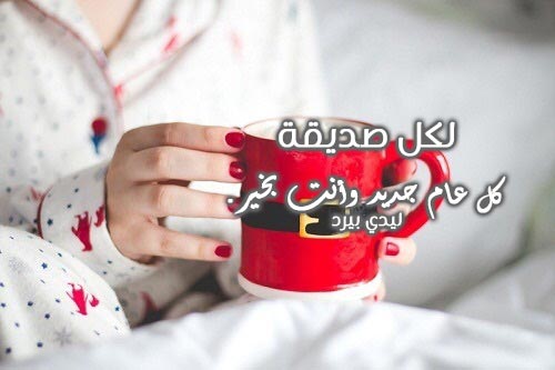 صديقتي برأس السنة 4