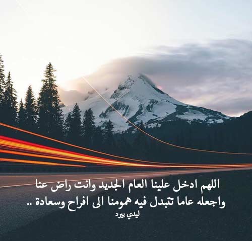 استقبال السنة الجديدة 43